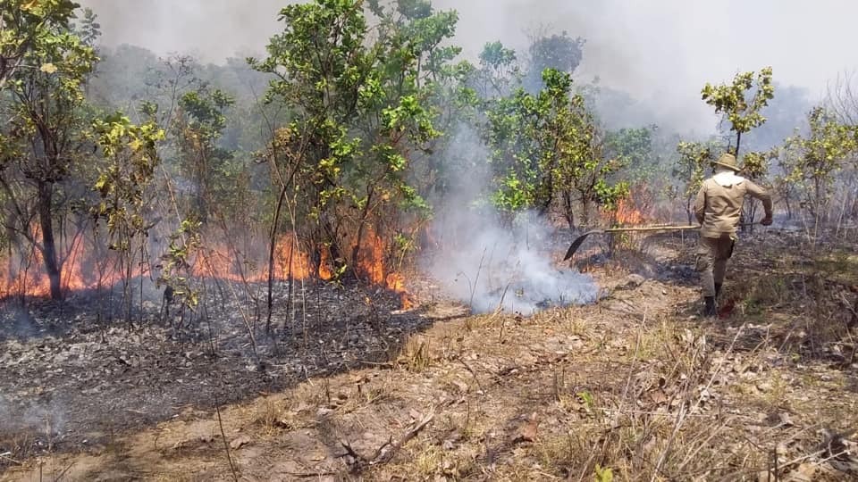 Governo intensifica combate a incêndios em três regiões de MS no fim de semana