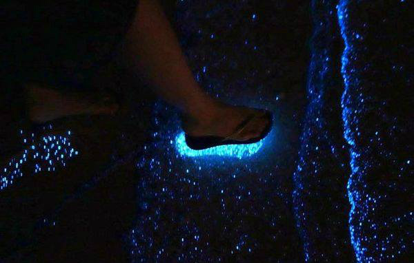 Morador flagra fenômeno da ‘onda azul fluorescente’ em Santos