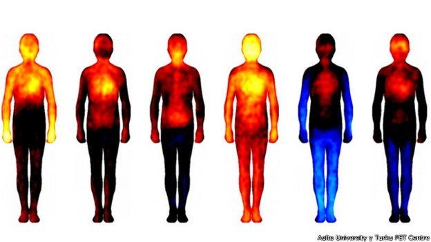 Emoções básicas ativam sensações na parte superior do corpo, segundo mapa de cientistas