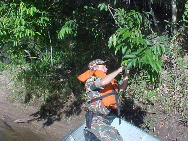 PMA cortando anzol.