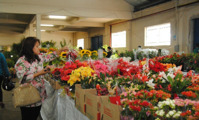 Inicia nesta quarta (26), em Amambai, a 7ª Feira das Flores A feira chega a sua 7ª edição neste ano / Foto: Moreira Produções