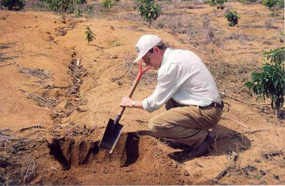 Maior estudo de solos do país começa em março Foto: Divulgação