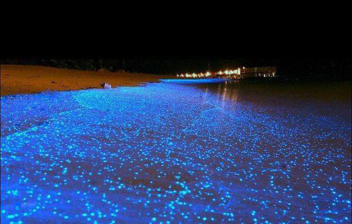 Morador flagra fenômeno da ‘onda azul fluorescente’ em Santos