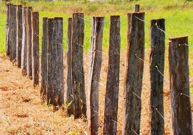 CNA denuncia tentativa de desestabilização do Estado de Direito