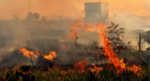 Efeitos da estiagem, que completará dois meses em Corumbá, aumentam riscos de incêndios