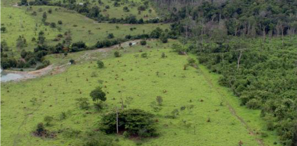 Prazo para declarar Imposto sobre a Propriedade Rural termina na sexta (28) Alíquota visa combater a manutenção de grandes latifúndios improdutivos.