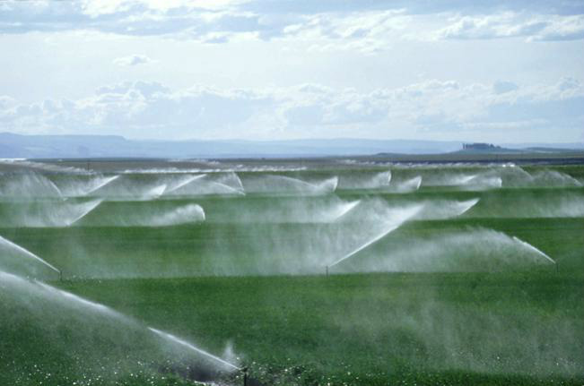 Sistema permite escolher o melhor tipo de irrigação