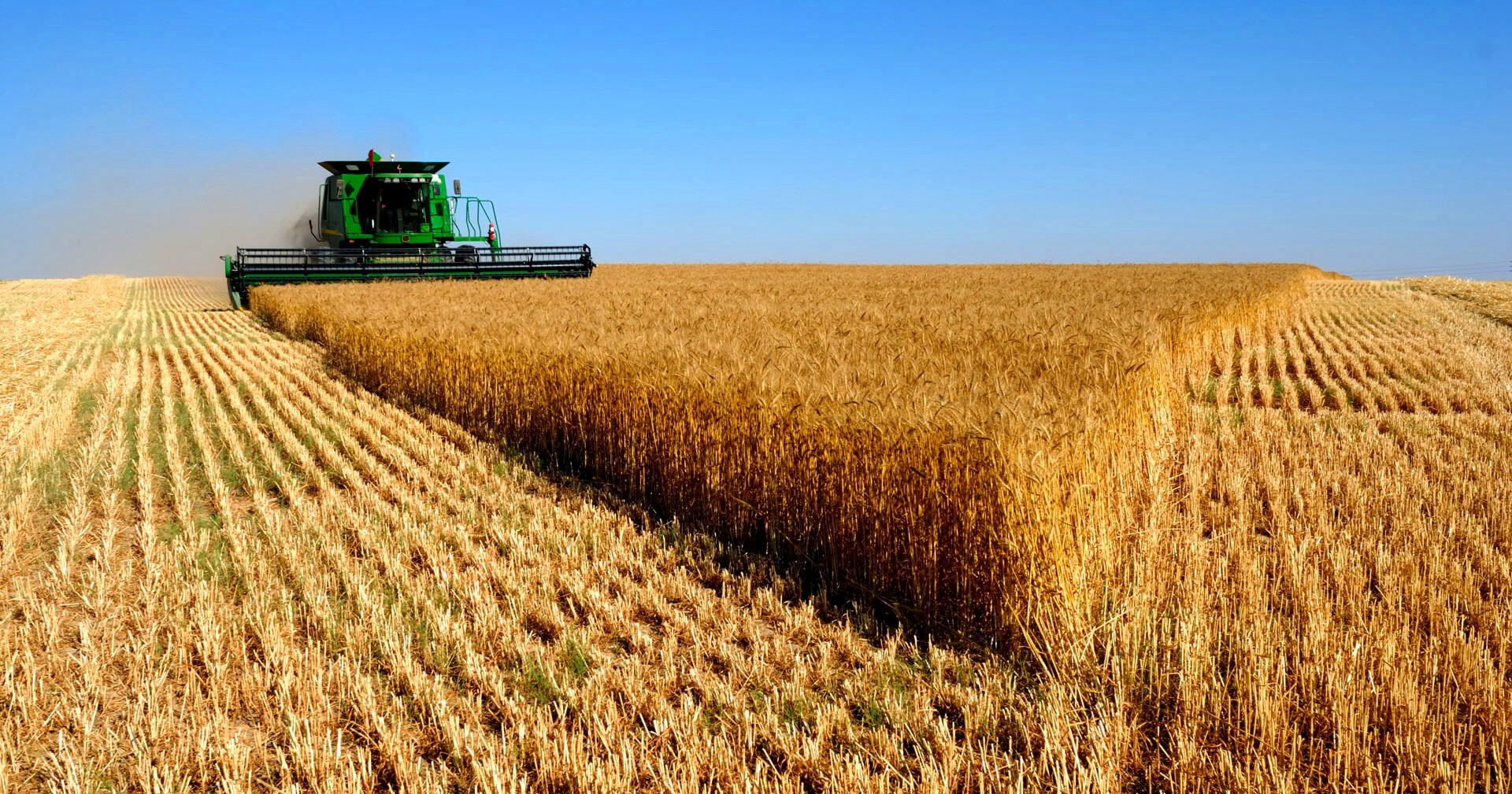 Tomada de crédito rural empresarial soma R$ 33,4 bilhões na safra atual Foto: Divulgação