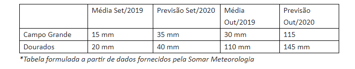 Chuvas devem normalizar o calendário de grãos em MS