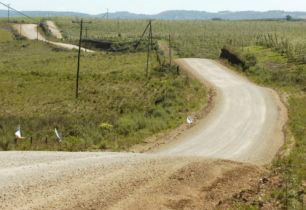 Problemas em estradas rurais dificultam escoamento da produção agrícola