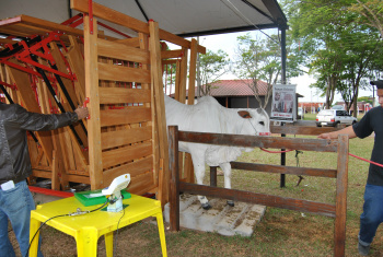 Expobai 2011 tem opções de negócios para agricultores e pecuaristas Uma novidade apresentada na exposição é o tronco de contenção com balança eletrônica para tratamento veterinário e pesagem de gado.