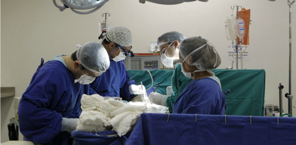 Doação entre pessoas vivas ajuda a suprir a demanda de órgãos no País Rim, fígado, pulmão e medula podem ser doados em vida.