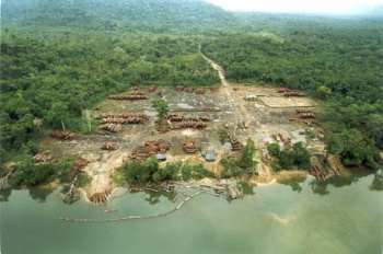 Código Florestal será votado até março Código Florestal será votado até março