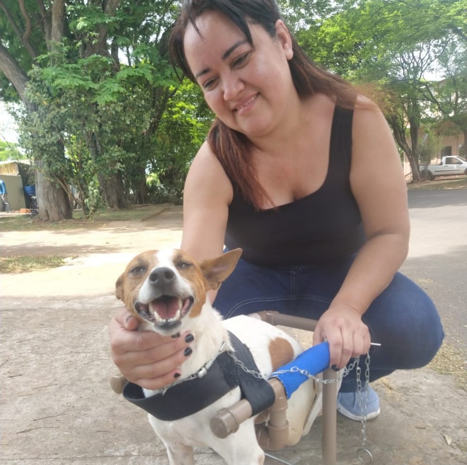 Amor pelo Pitoco fez Ana Paula adaptar uma cadeira de rodas animal Pitoco está com Ana Paula há 9 anos / Foto: Moreira Produções