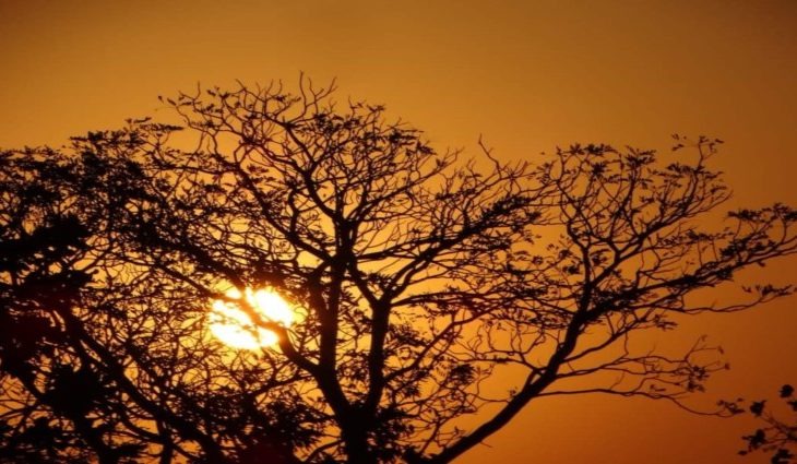 Calor ganha força em Mato Grosso do Sul no feriado da Independência Foto: Monica Alves