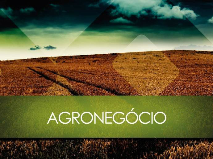 Governo investe na qualidade para tornar produtos de MS mais competitivos Governo investe na qualidade para tornar produtos de MS mais competitivos