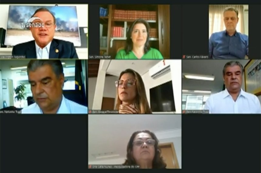 Comissão foi instalada nesta quarta-feira em reunião remotaReprodução TV Senado