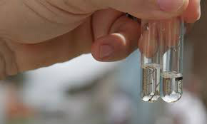 Instituição norte-americana reconhece relação do vírus Zika e microcefalia Instituição norte-americana reconhece relação do vírus Zika e microcefalia