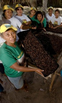 Linha de crédito para agricultores familiares será ampliada