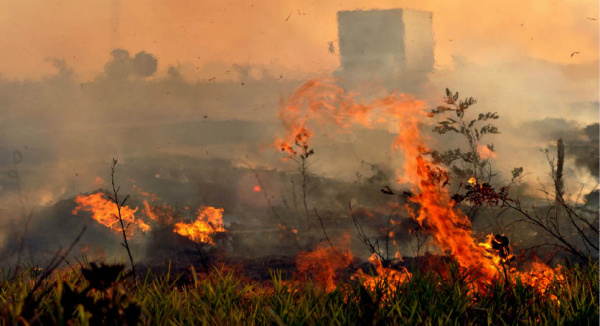 MS registra mais de mil focos de incêndio nos primeiros dias do mês
