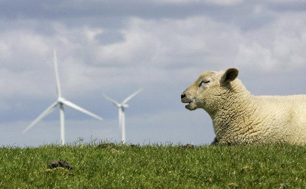 Os 10 países líderes em energia eólica