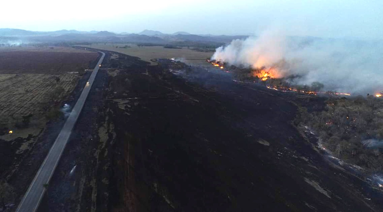 Queimadas se intensificam e Ibama estima 1 milhão de hectares em cinzas Queimadas se intensificam e Ibama estima 1 milhão de hectares em cinzas