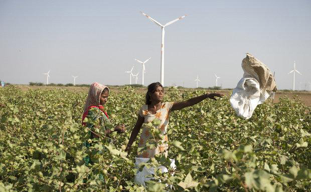 Os 10 países líderes em energia eólica