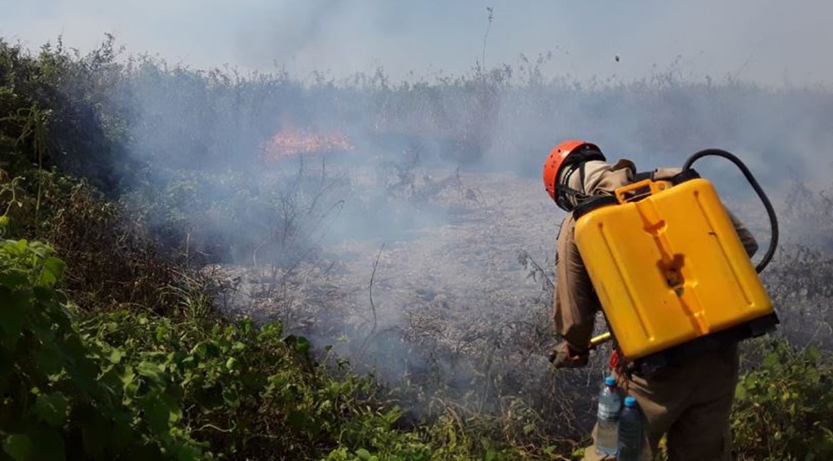 Bombeiro no combate ao fogo no Pantanal (Foto: Semagro)
