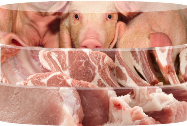 Copa do Mundo deve aumentar consumo de carne suína em 2014 A expectativa para o setor de suínos em 2014 é positiva