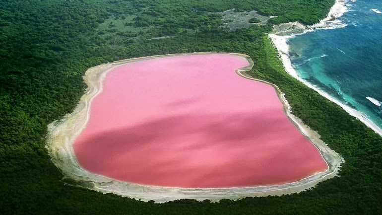 ‘Cor de chiclete’: conheça o lago rosa da Austrália
