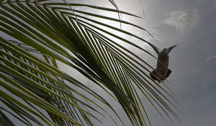 Passagem de frente fria traz chuva e ameniza calor em Mato Grosso do Sul Foto: Edemir Rodrigues