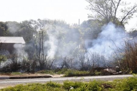 90% dos incêndios são causados pela ação humana em MS Foto: Divulgação