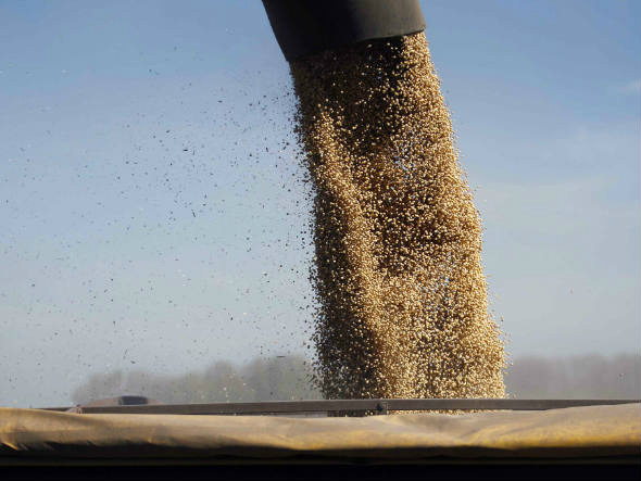 Indústria da soja vê repetição de problemas nos portos na próxima safra Indústria da soja vê repetição de problemas nos portos na próxima safra