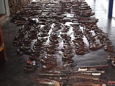 Em quatro meses, campanha de desarmamento recolheu mais de 22 mil armas