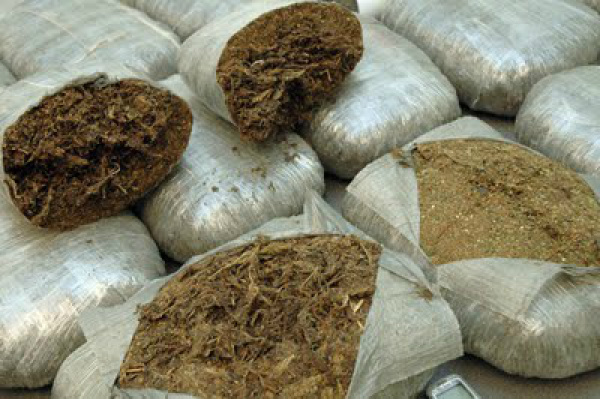 Polícia apreende droga em transportadora