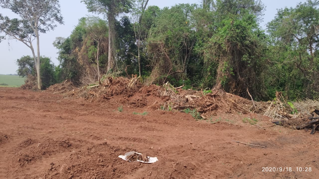 Proprietário rural de Amambai é multado por crime ambiental Fotos: PMMS