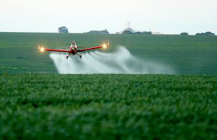 Especialista aponta "neblina fatal" contra Helicoverpa armigera As neblinas fatais para o controle de lagartas foram descobertas na década de 1960
