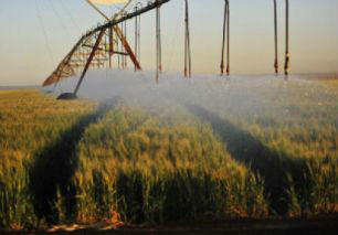 Tecnologia desenvolvida pela entidade auxilia na classificação dos solos e na escolha de melhores tipos de irrigação