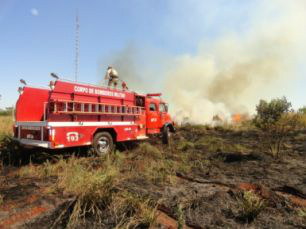 Incêndio atinge canavial e avança para pasto