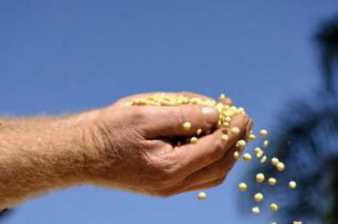 Projeto vai apontar índice de inflação do agronegócio de Mato Grosso do Sul