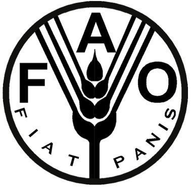 Preço de alimentos tem maior alta em 21 anos, diz FAO