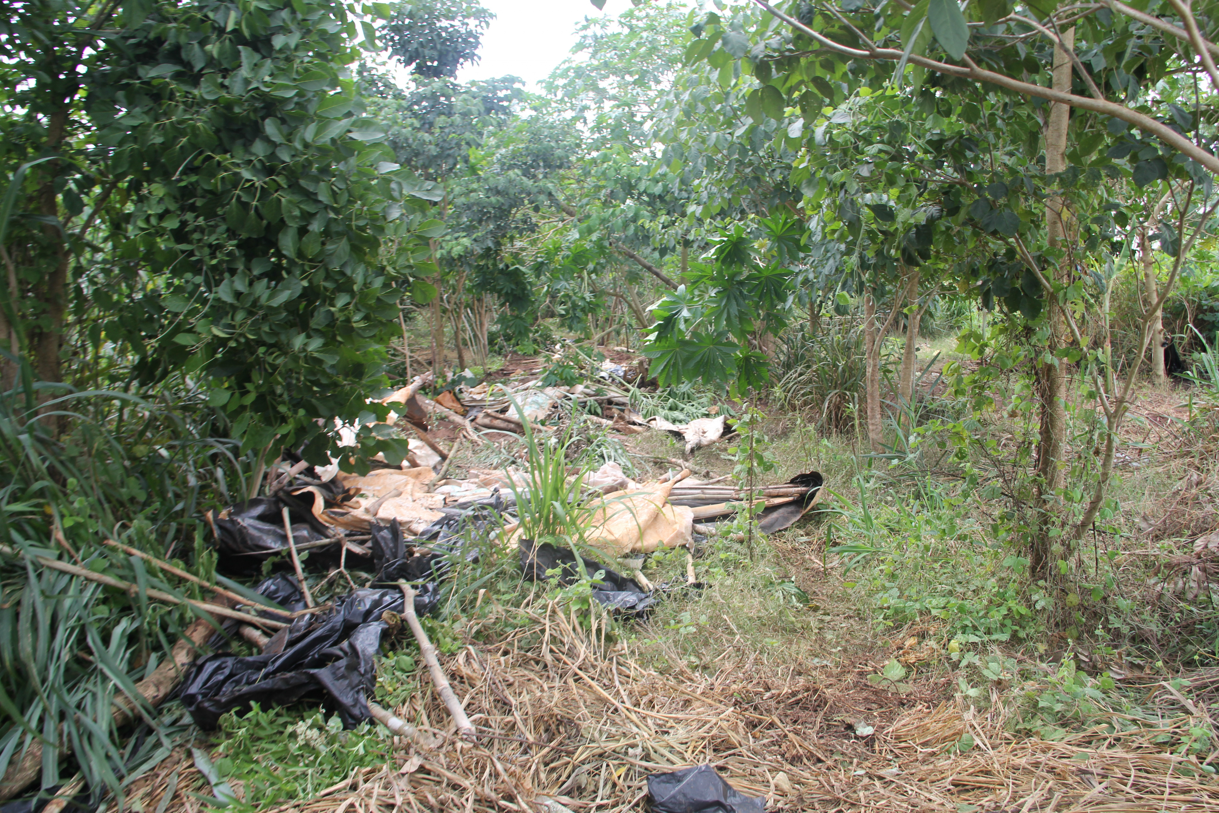 MSTMS denúncia truculência em desocupação de acampamento em Sidrolândia