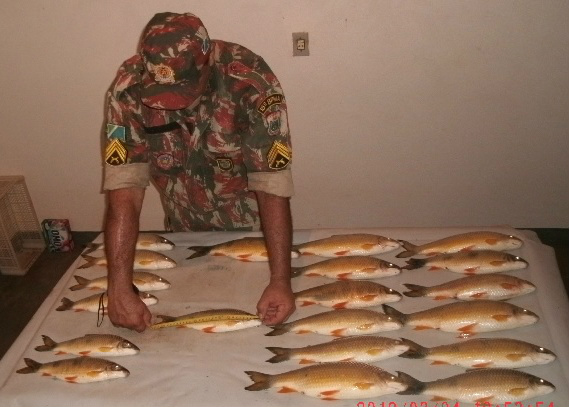 PMA prende pescador por capturar peixe fora da medida