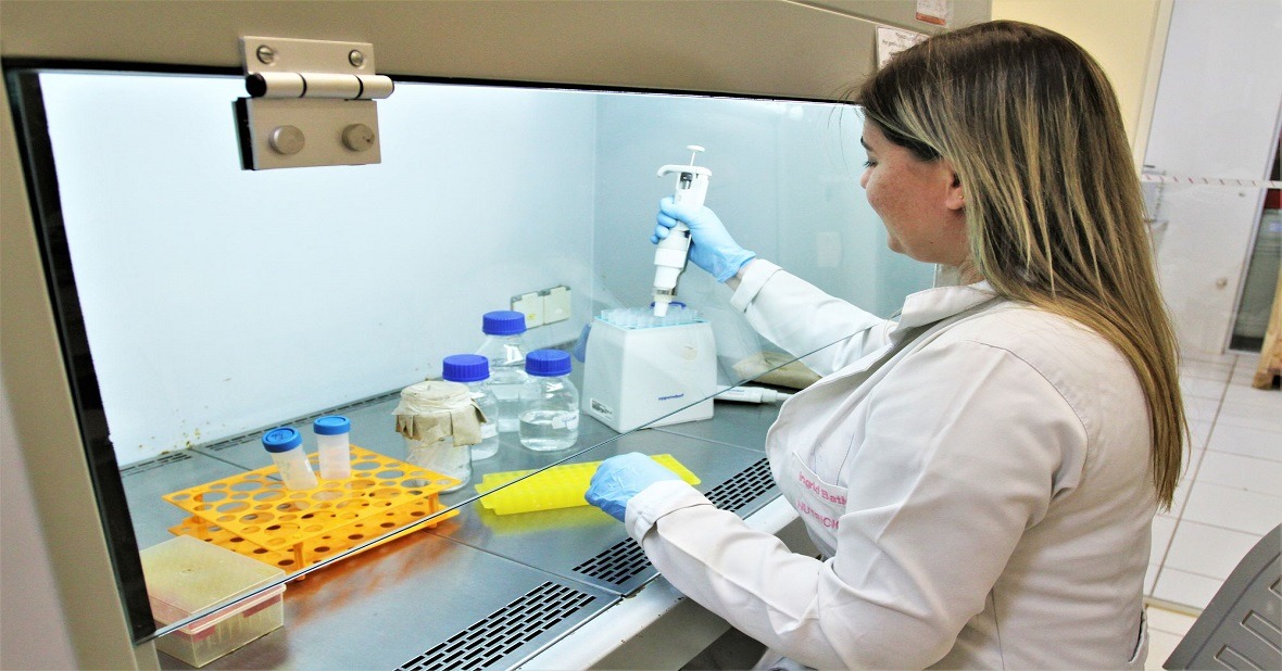 Mato Grosso do Sul é referência mundial em biotecnologia agropecuária
