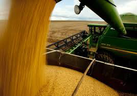 CMN aprova normas para viabilizar Plano Safra 2014/2015
