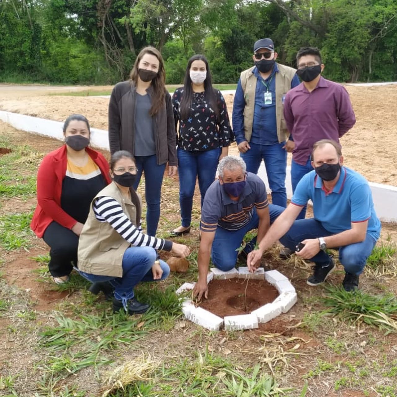Várias mudas de árvores nativas da região foram plantas / Foto: Reprodução Facebook