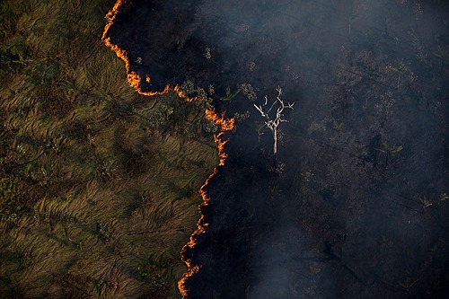 : Bruno Kelly/Amazônia Real