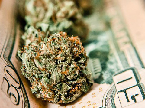 Há 27 anos, quando o estudo do instituto ORC começou a ser feito, apenas 16% dos americanos eram favoráveis à flexibilização da lei pelo consumo da droga