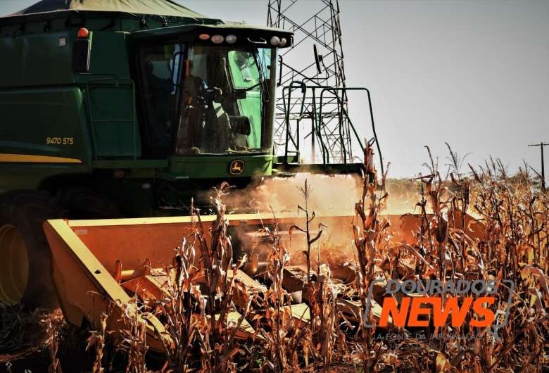 Acompanhamento das safras faz parte das iniciativas de incentivo ao desenvolvimento das culturas de milho e de soja - Crédito: Hedio Fazan/ Dourados News/ Arquivo