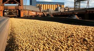 Conab divulga novo levantamento da safra de grãos